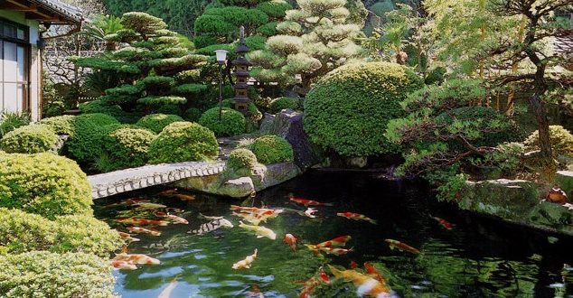 thiết kế sân vườn đẹp 12