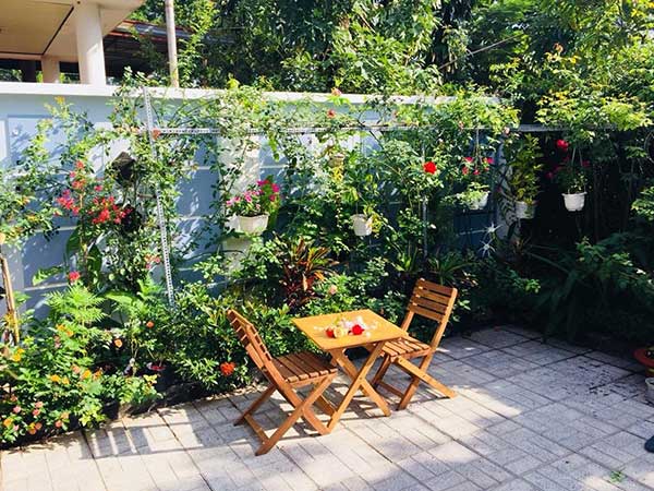 thiết kế sân vườn đẹp 21