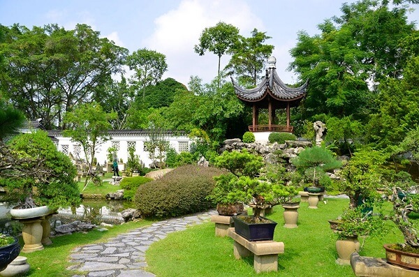 thiết kế sân vườn đẹp 5